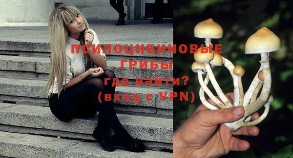 метадон Липки